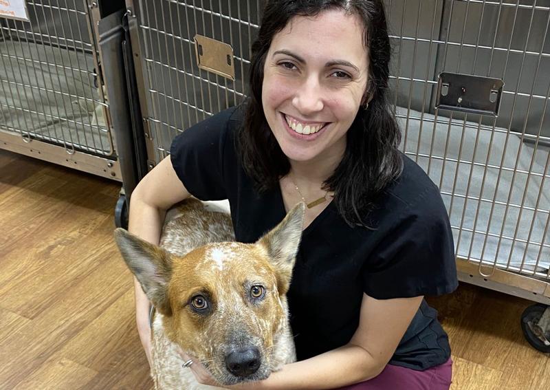 Oaks Veterinary Hospital Gainesville Veterinarians